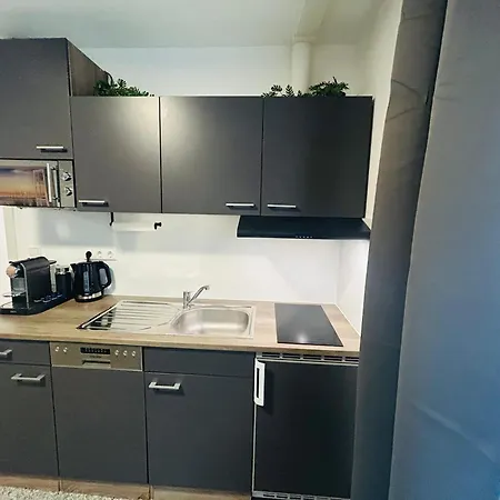 Luxx - Naehe Universitaet-kliniken-parken-kueche-wlan Ульм